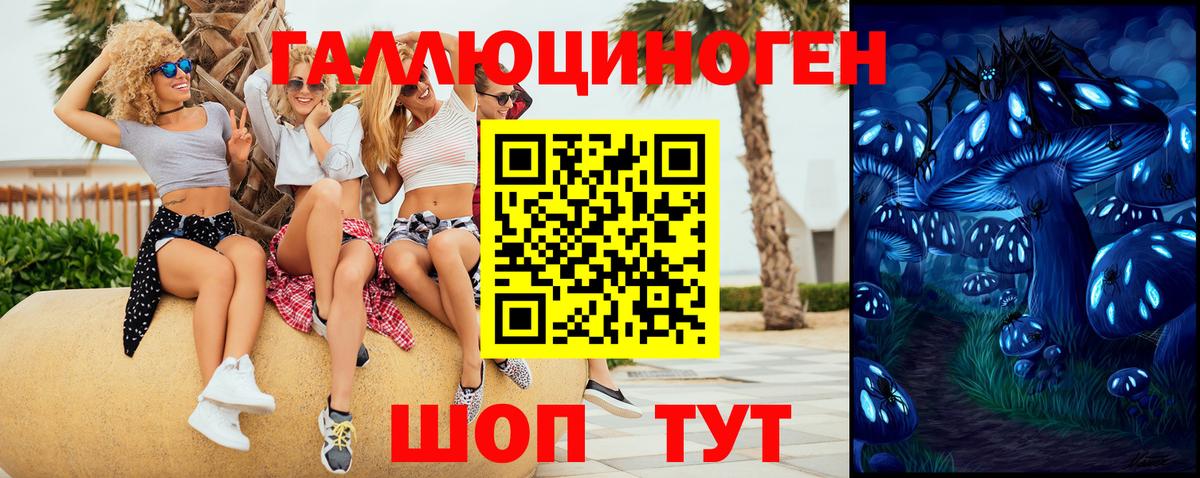 Псилоцибиновые грибы Psilocybe Москва