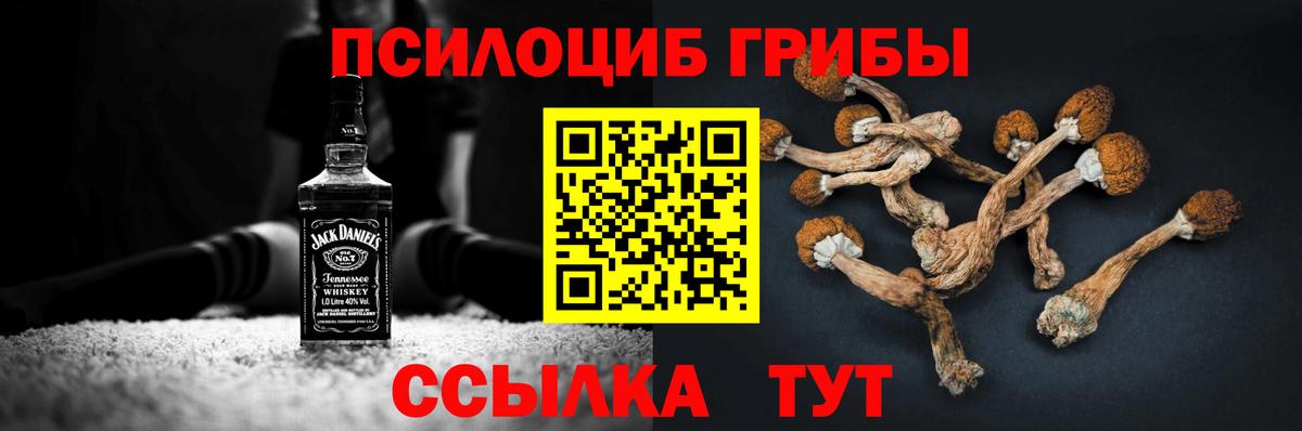 Псилоцибиновые грибы Cubensis  Вход с VPN  Москва  Псилоцибиновые грибы MAGIC MUSHROOMS 